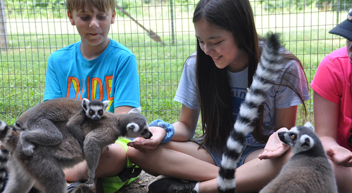 Cub Creek Science Camp